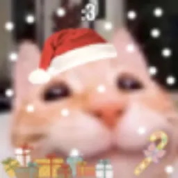 festive :3 cat